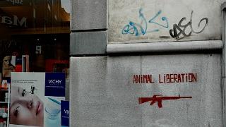 namur2004048