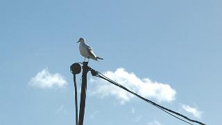 namur2004091