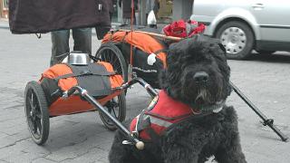 namur2004503
