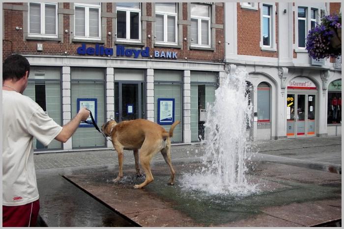 namur060806026