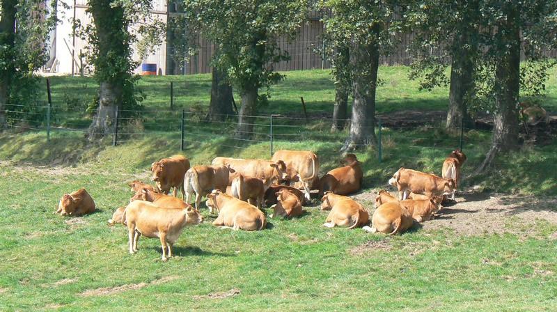namur050807028