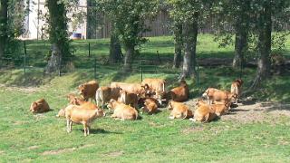 namur050807028