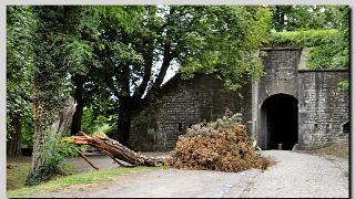 namur080810020