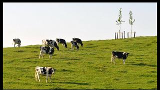 namur070811042