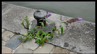 namur070811100