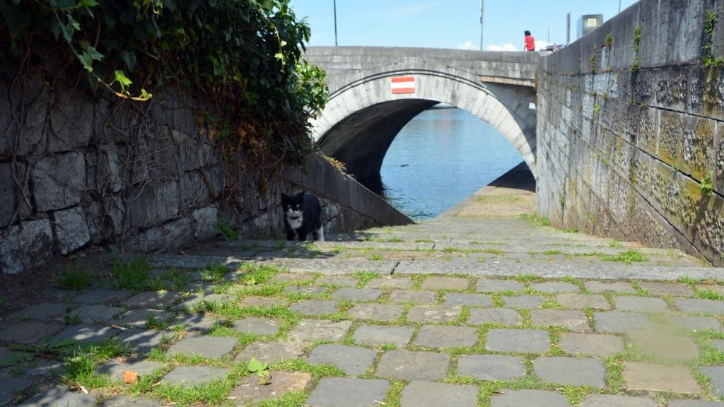 namur1008140041