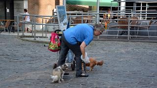 namur0308140031