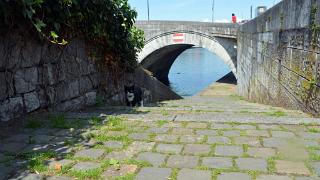 namur1008140041