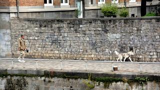 namur1008140055
