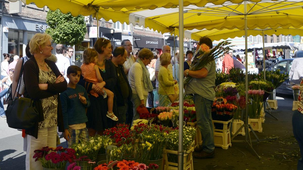 namur020815105
