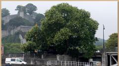 namur130817018