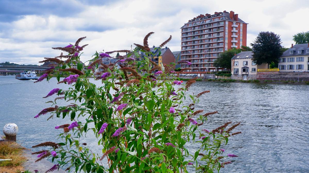 namur040819021
