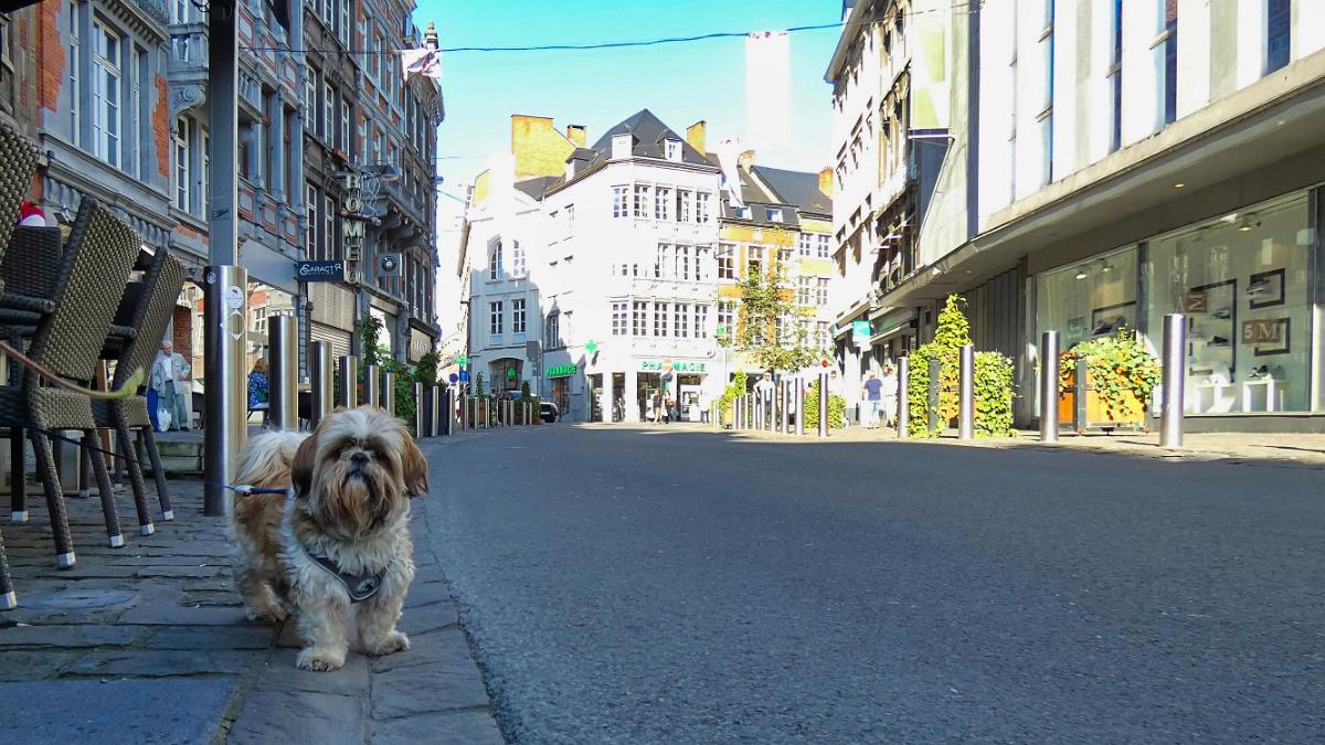 namur250819116