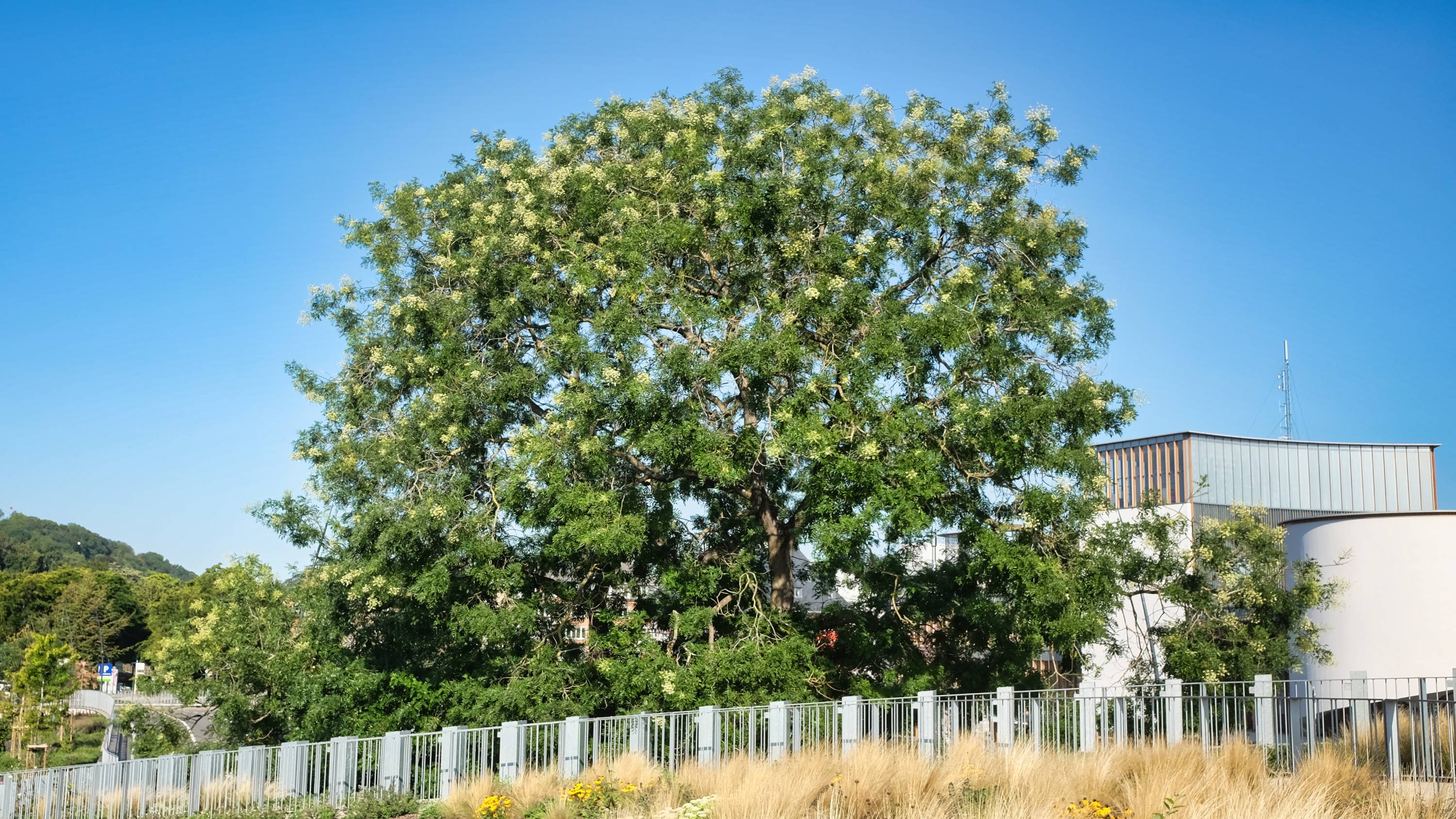 namuraoût2023146