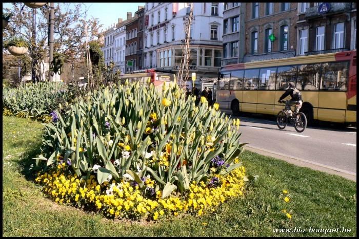 namur080407009