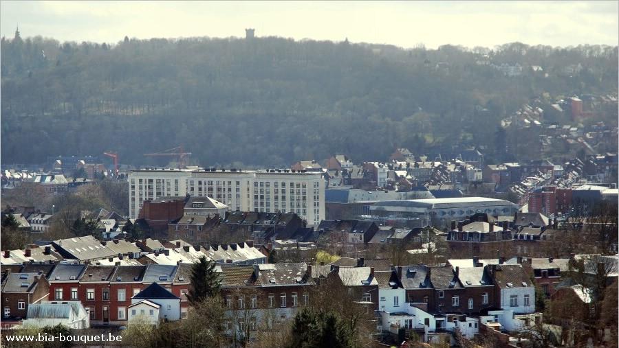 namur050409003