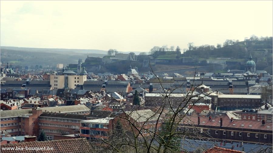 namur050409004