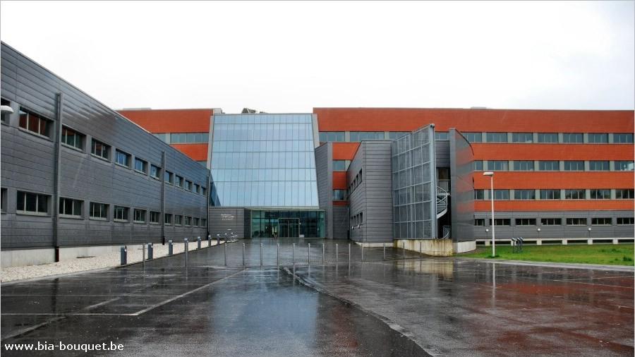 namur050409012