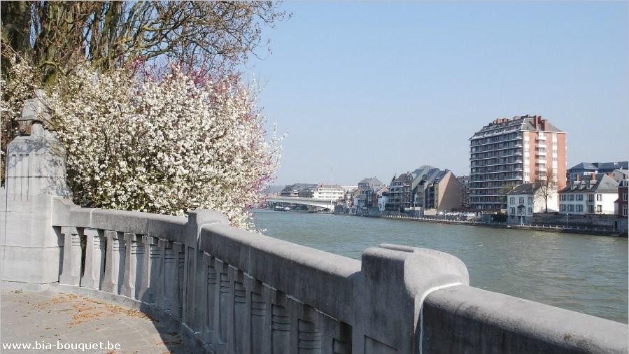 namur050409047