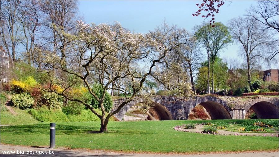 namur120409033