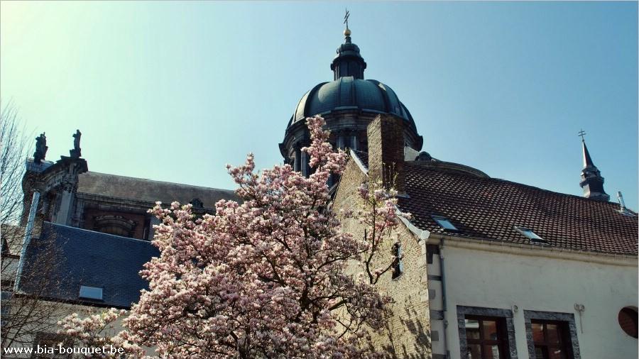 namur120409034