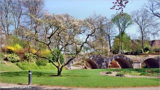 namur120409033