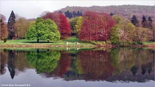 namur190409014