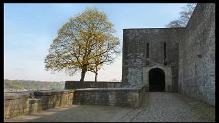 namur100411259