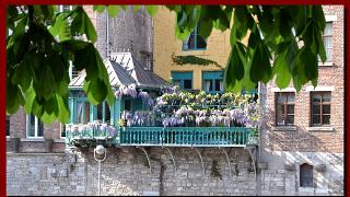 namur240411070