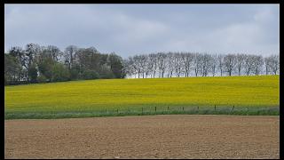 namur2204120089