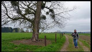 namur2204120229