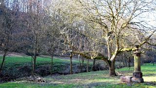 namur0704130079