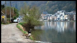 namur2804130013