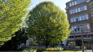namur190415-117