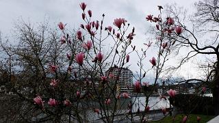 namur030416049