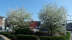 namur090417025