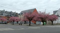 namur090417072