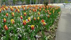 namur300417134