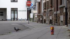 namur300417152