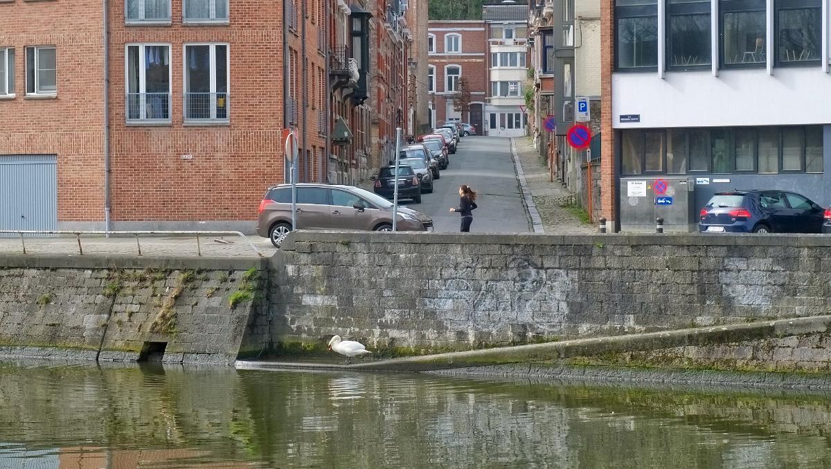 namur1504180087