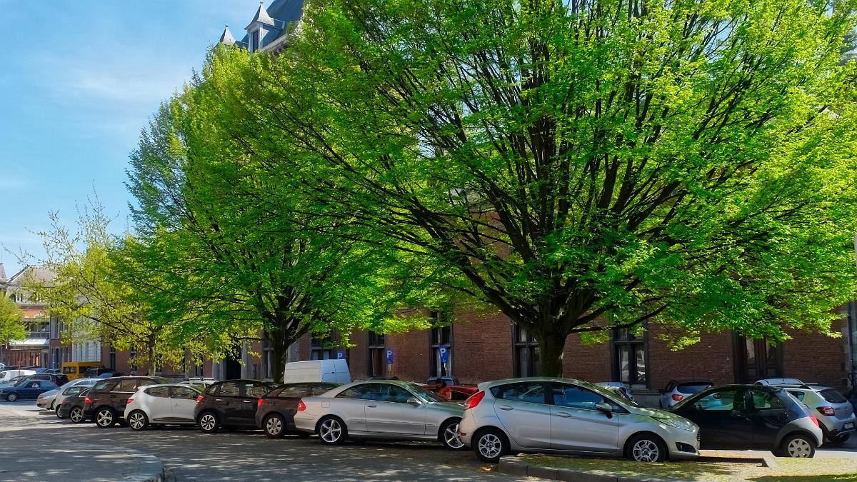 namur2204180023