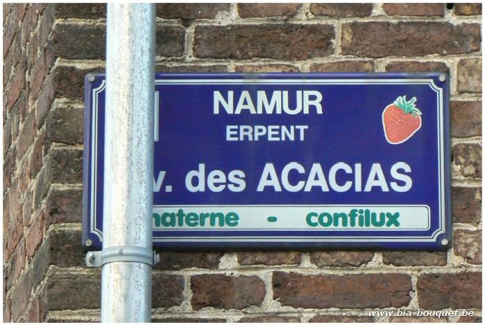 namur101206006