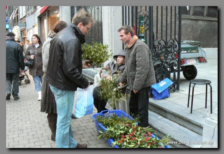namur241206021