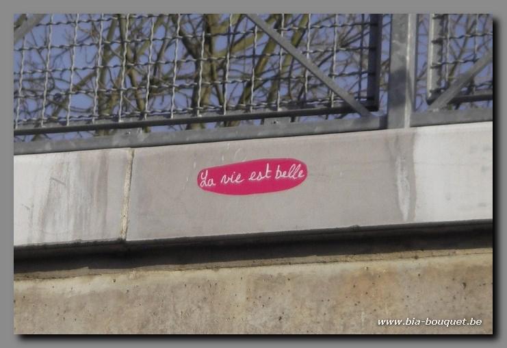 namur241206036