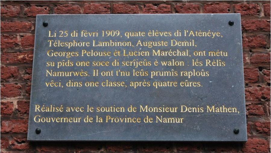 namur061209038