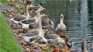 namur131209047