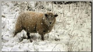 namur121210002