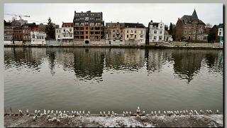 namur121210031