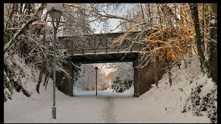 namur261210017