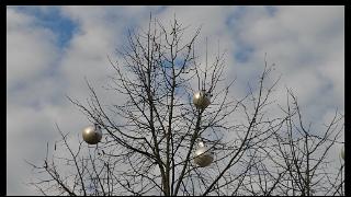 namur3012120099